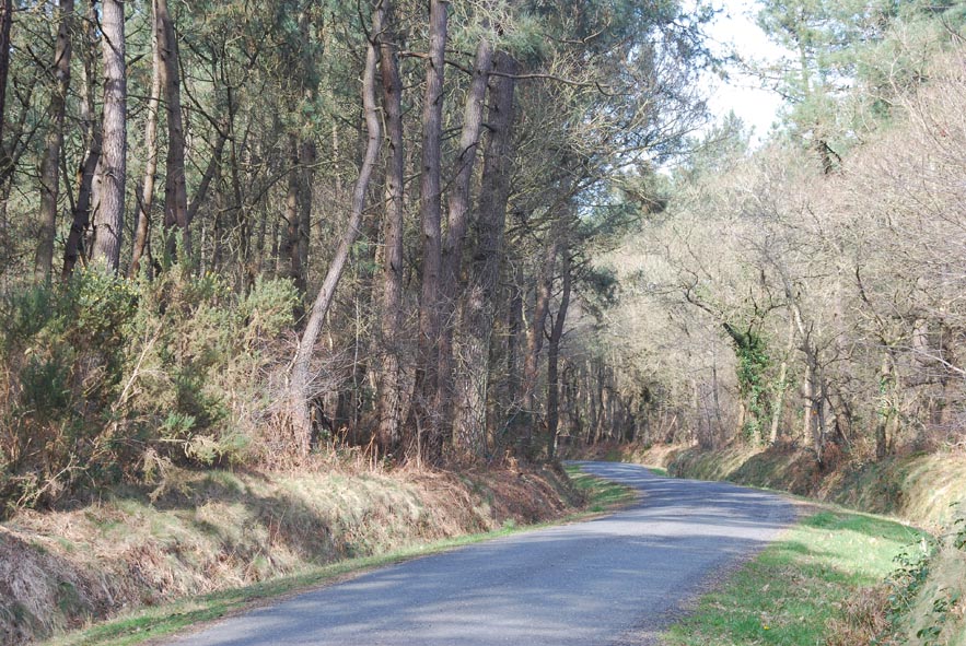 Route en fort